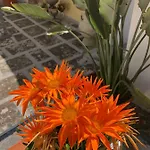 Gæstehus Corte La Rosa Nardò