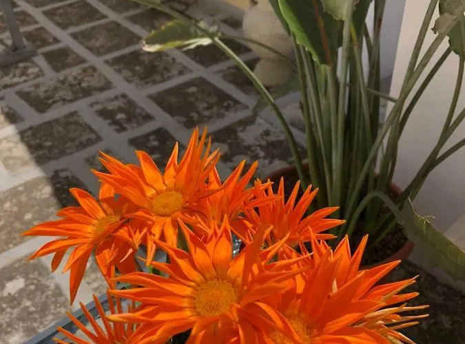 Pensionat Corte La Rosa Nardò